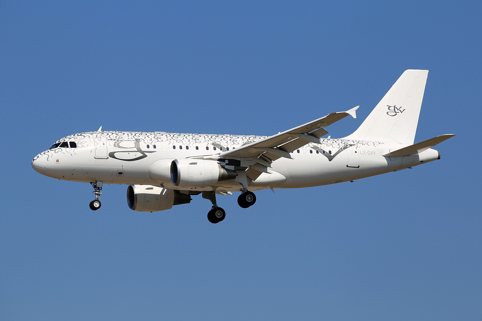 Jato privado Airbus ACJ319